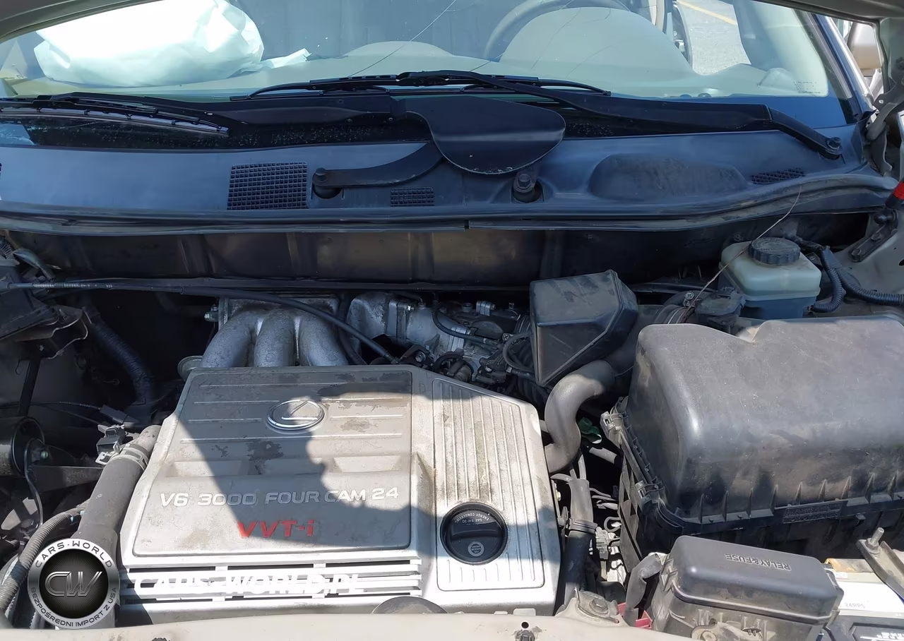 2003 Lexus Rx 300 VIN:JTJGF10U130153607 - 10
