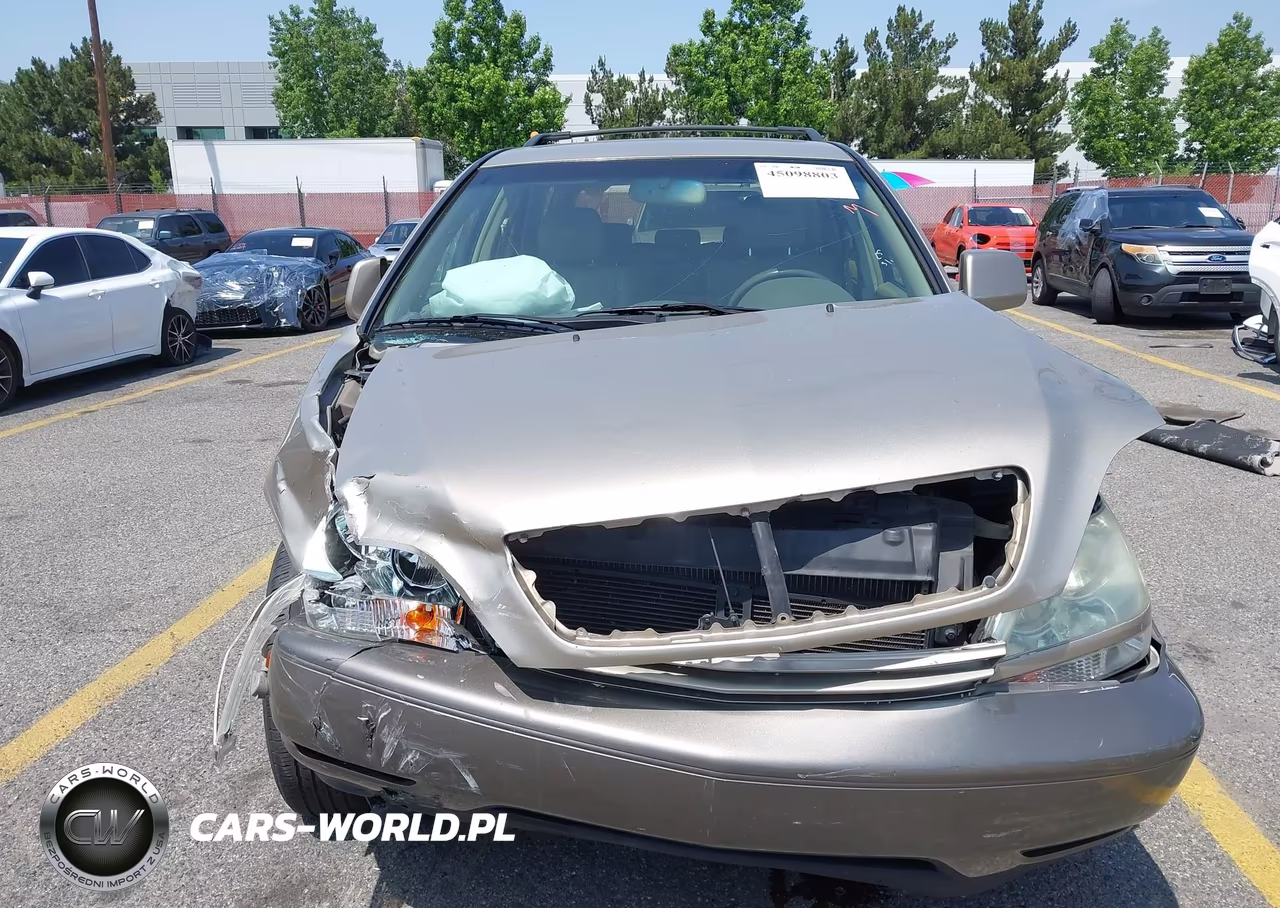 2003 Lexus Rx 300 VIN:JTJGF10U130153607 - 12
