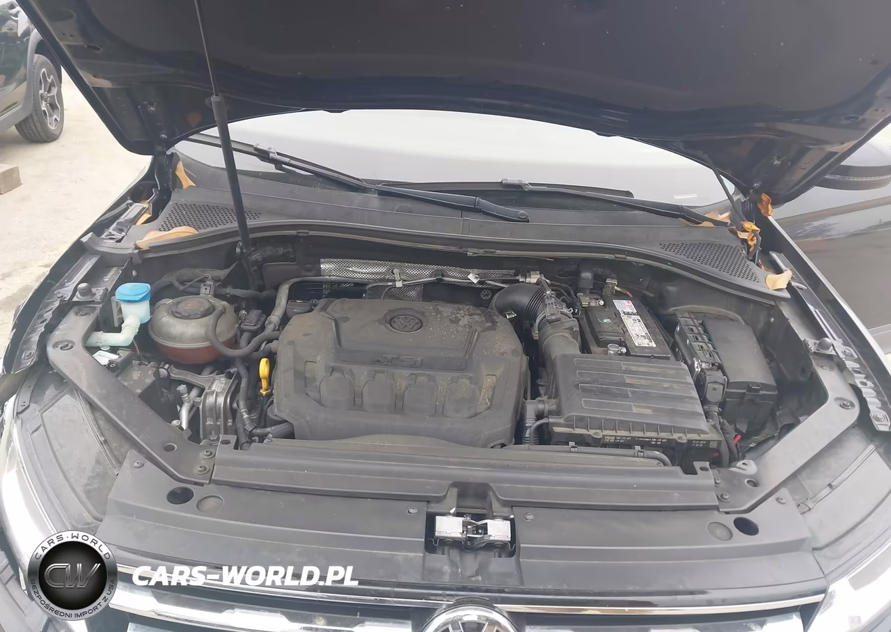 2019 Volkswagen Tiguan 2.0T S VIN:3VV1B7AX2KM083418 - 10