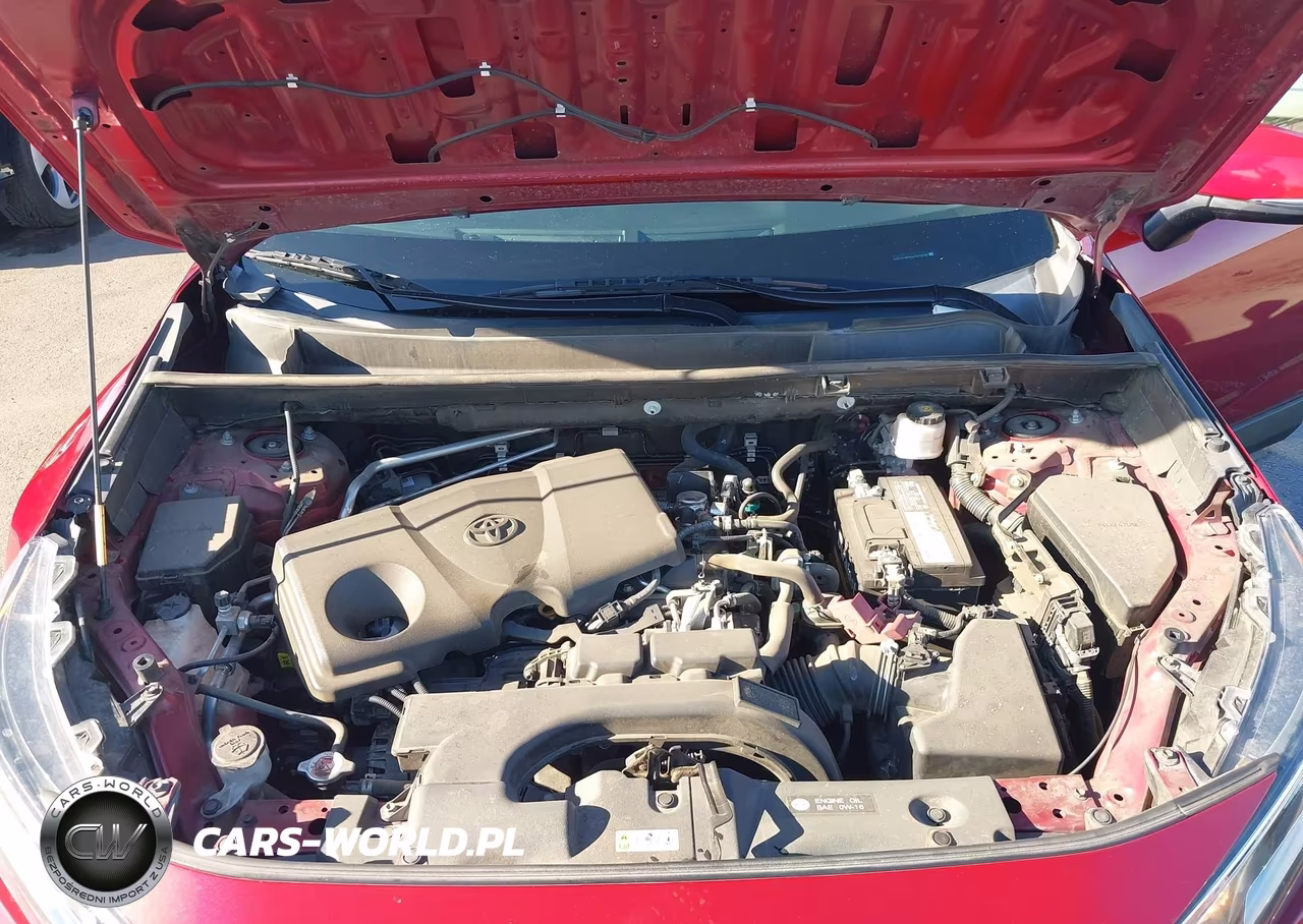 2019 Toyota Rav4 Limited VIN:2T3Y1RFV2KC016787 - 10