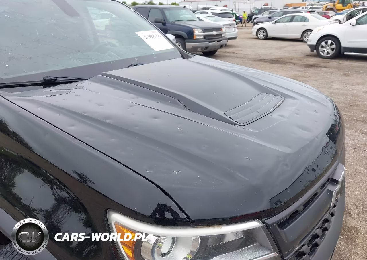 2018 Chevrolet Colorado Zr2 VIN:1GCGTEEN4J1247928 - 17