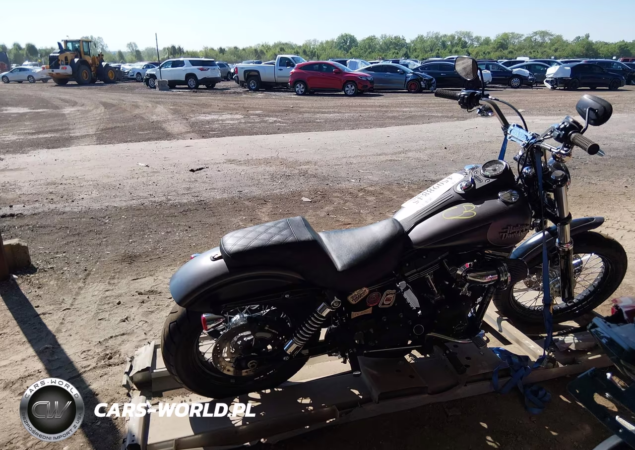 2017 Harley-Davidson Fxdb Dyna Street Bob VIN:1HD1GXM10HC318883 - 13