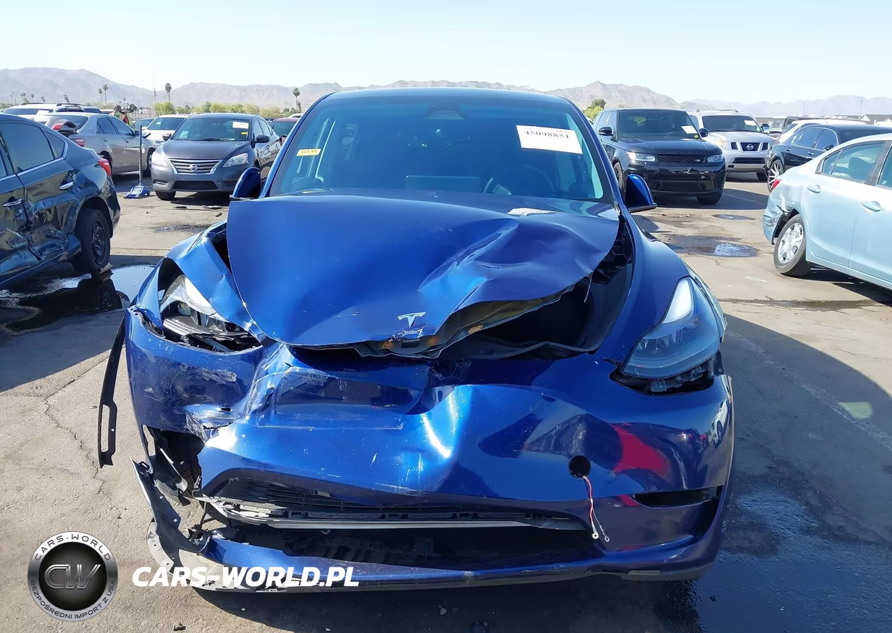 2023 Tesla Model Y Awd-Long Range Dual Motor All-Wheel Drive VIN:7SAYGDEE4PF910954 - 12