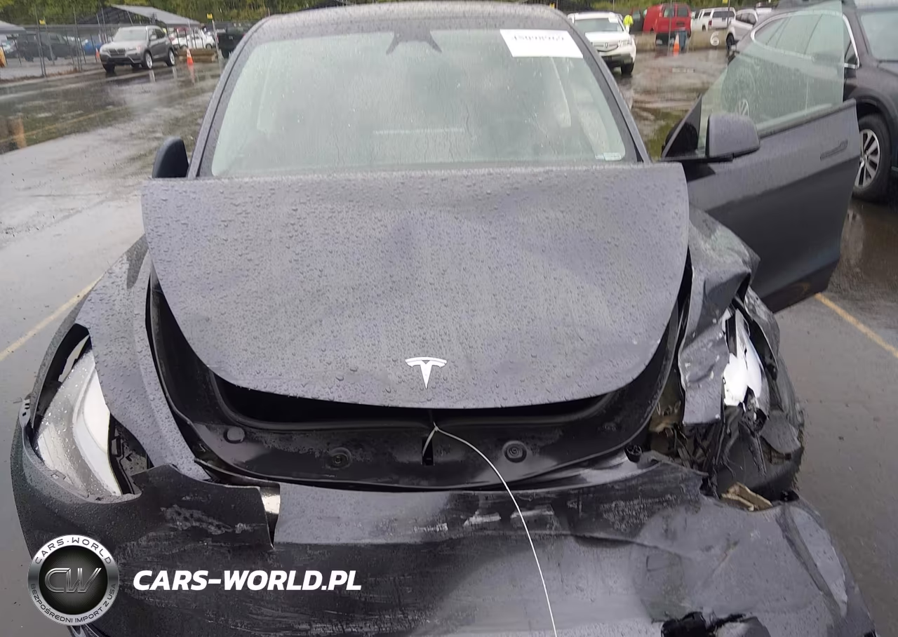 2023 Tesla Model Y Performance Dual Motor All-Wheel Drive VIN:7SAYGDEF2PF912338 - 10