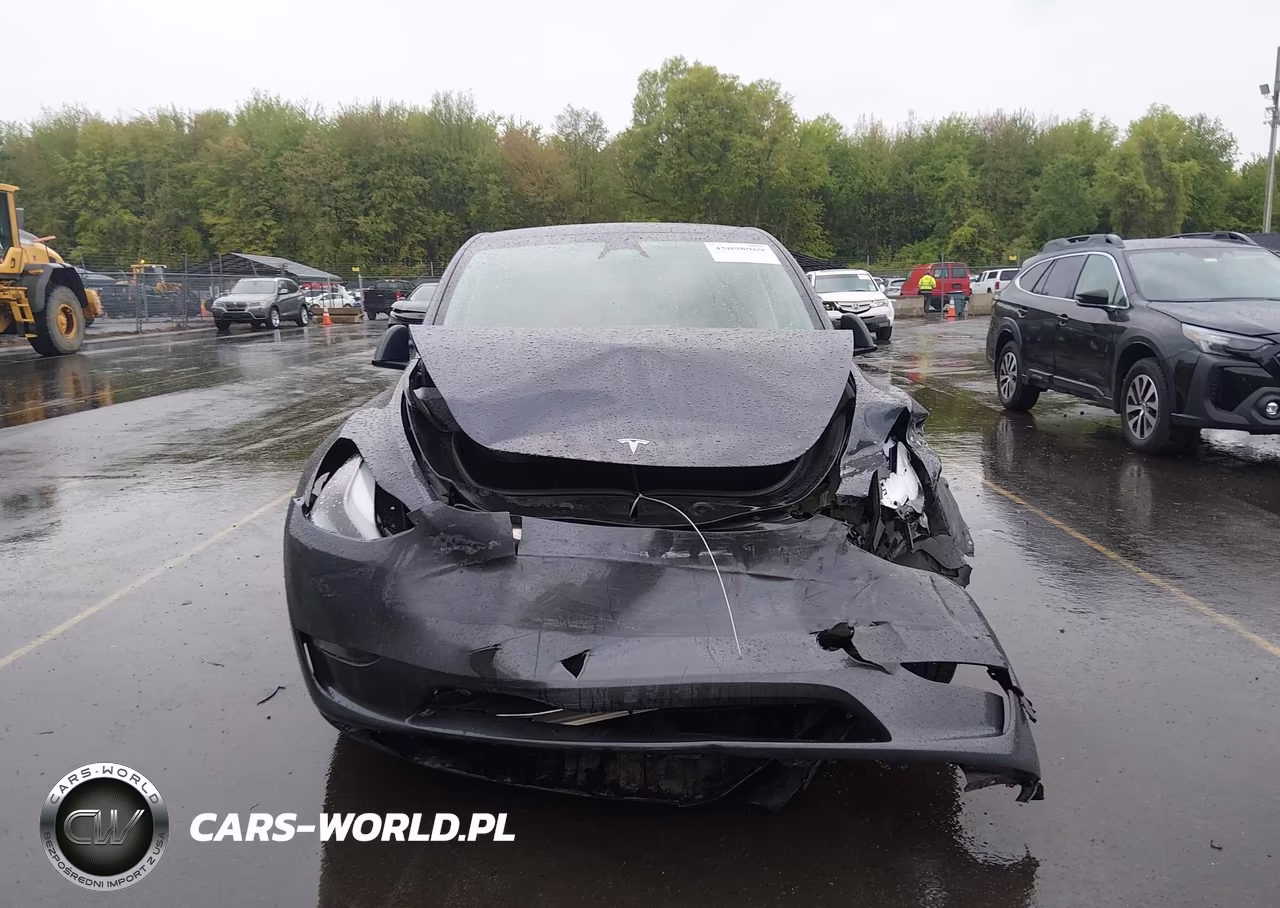 2023 Tesla Model Y Performance Dual Motor All-Wheel Drive VIN:7SAYGDEF2PF912338 - 12