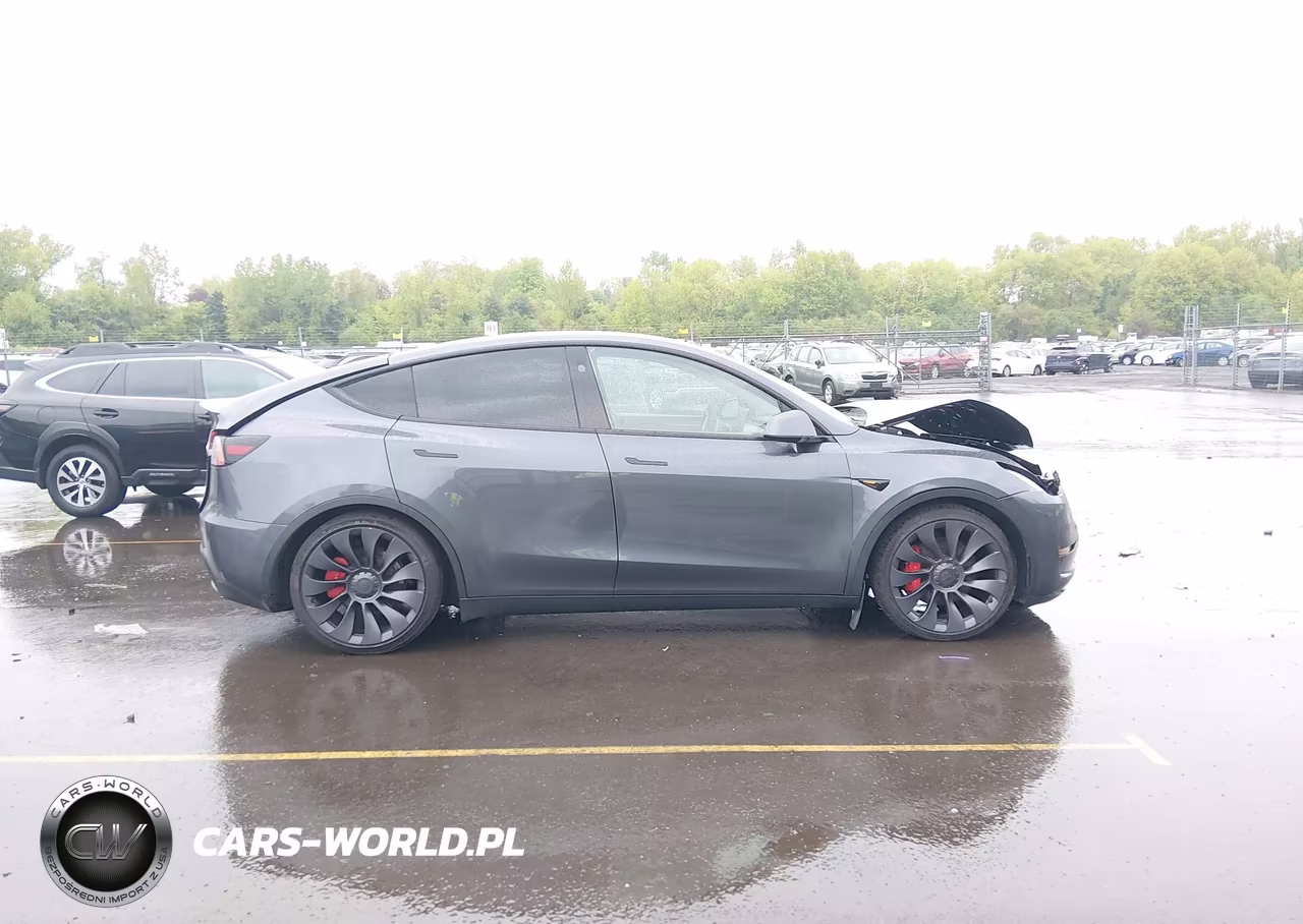 2023 Tesla Model Y Performance Dual Motor All-Wheel Drive VIN:7SAYGDEF2PF912338 - 13