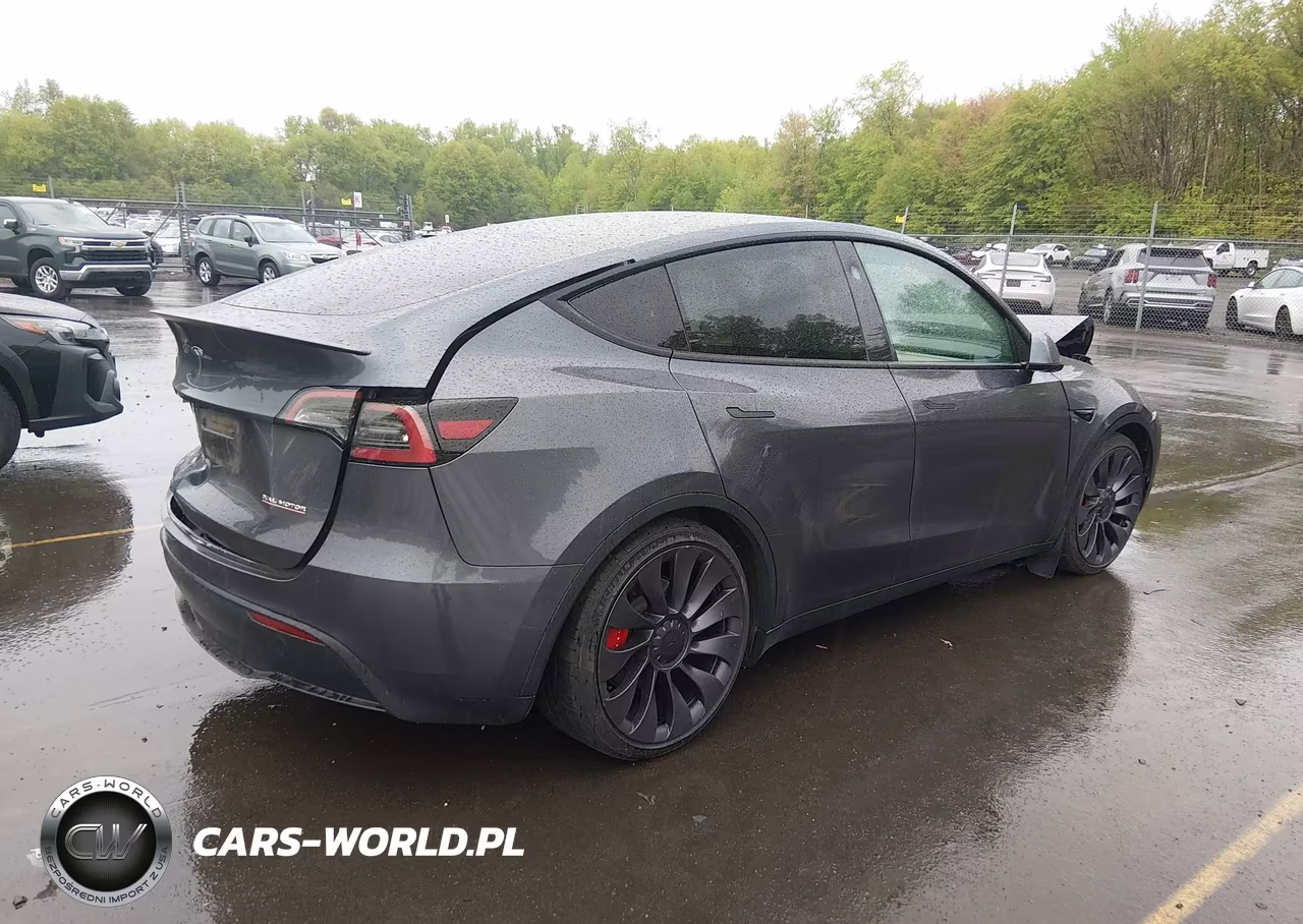 2023 Tesla Model Y Performance Dual Motor All-Wheel Drive VIN:7SAYGDEF2PF912338 - 4
