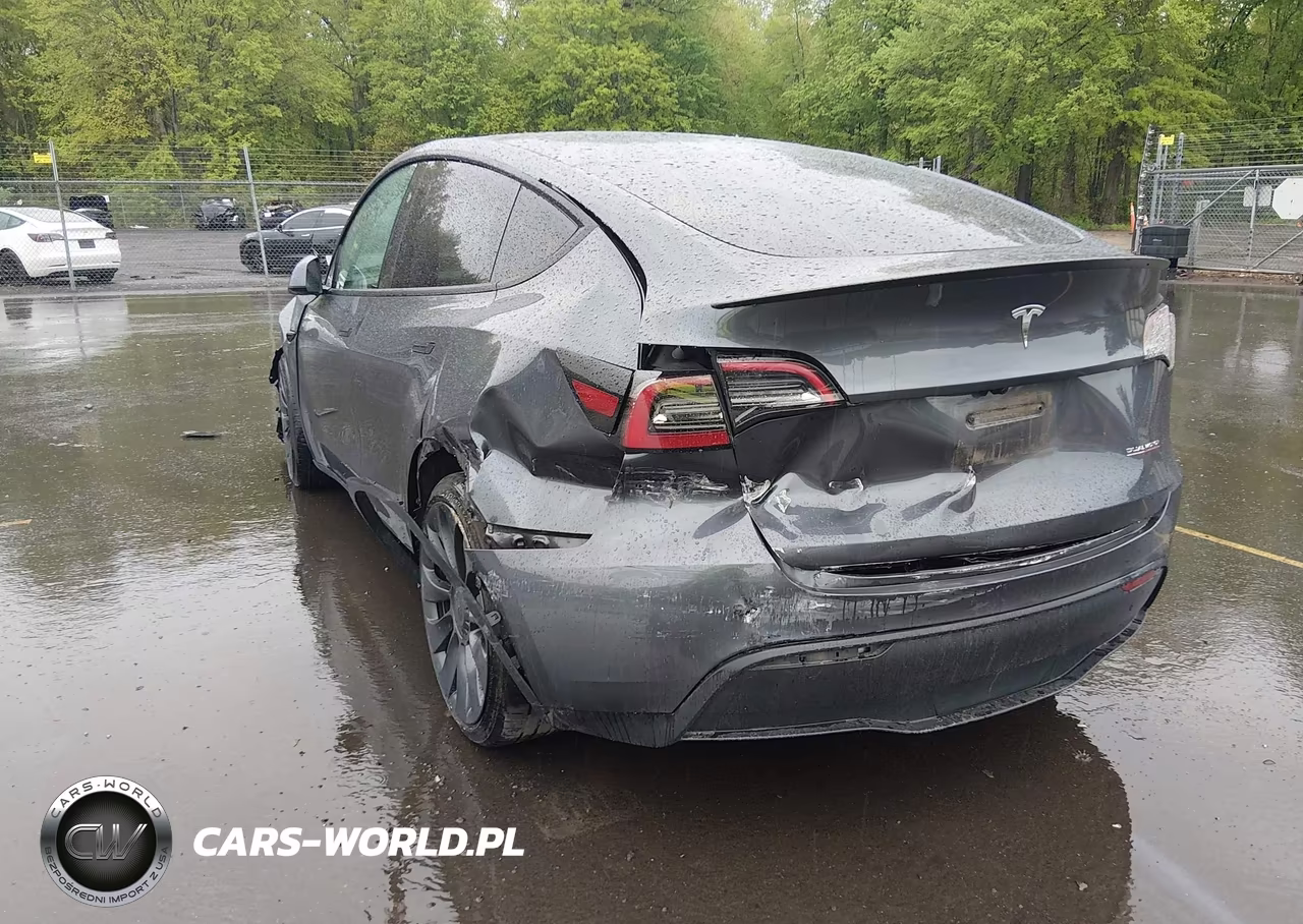 2023 Tesla Model Y Performance Dual Motor All-Wheel Drive VIN:7SAYGDEF2PF912338 - 6