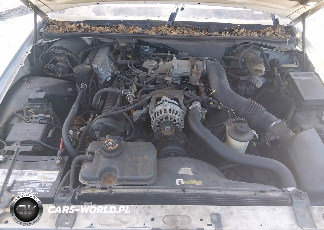 1998 Mercury Grand Marquis VIN:2MEFM75W8WX625467 - 10
