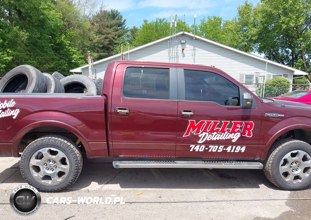 2010 Ford F-150 Fx4-Harley-Davidson-King Ranch-Lariat-Platinum-Xl-Xlt VIN:1FTFW1EV7AFC88357 - 13