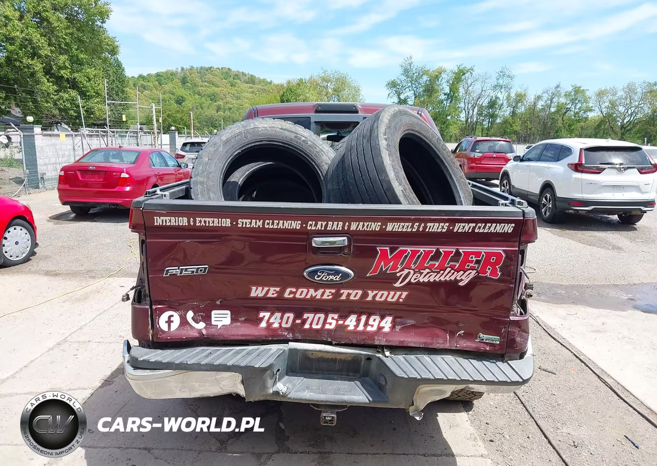 2010 Ford F-150 Fx4-Harley-Davidson-King Ranch-Lariat-Platinum-Xl-Xlt VIN:1FTFW1EV7AFC88357 - 16