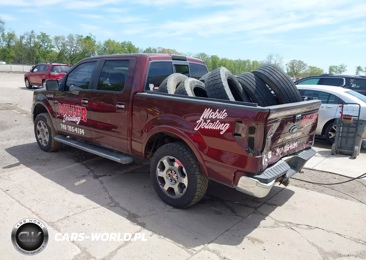 2010 Ford F-150 Fx4-Harley-Davidson-King Ranch-Lariat-Platinum-Xl-Xlt VIN:1FTFW1EV7AFC88357 - 3