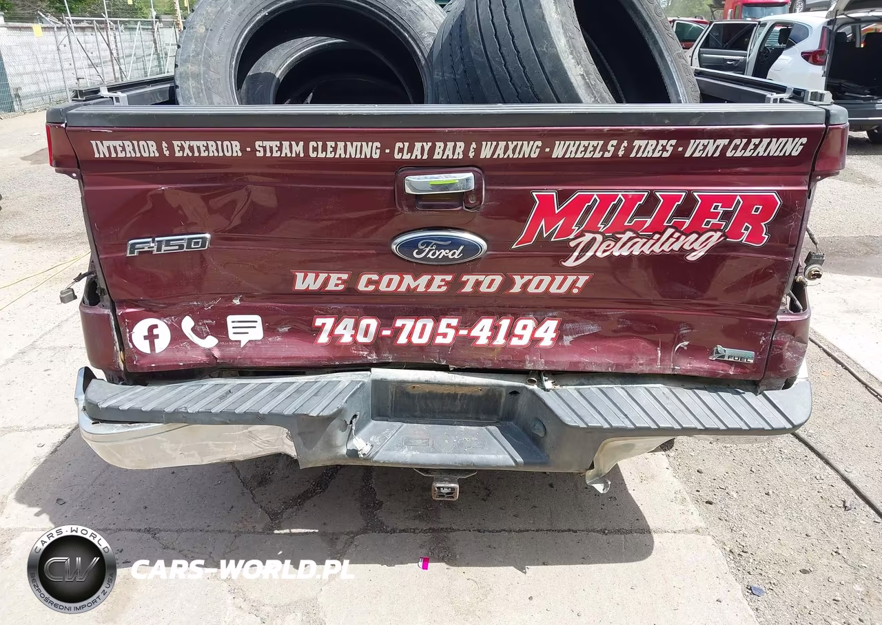 2010 Ford F-150 Fx4-Harley-Davidson-King Ranch-Lariat-Platinum-Xl-Xlt VIN:1FTFW1EV7AFC88357 - 6