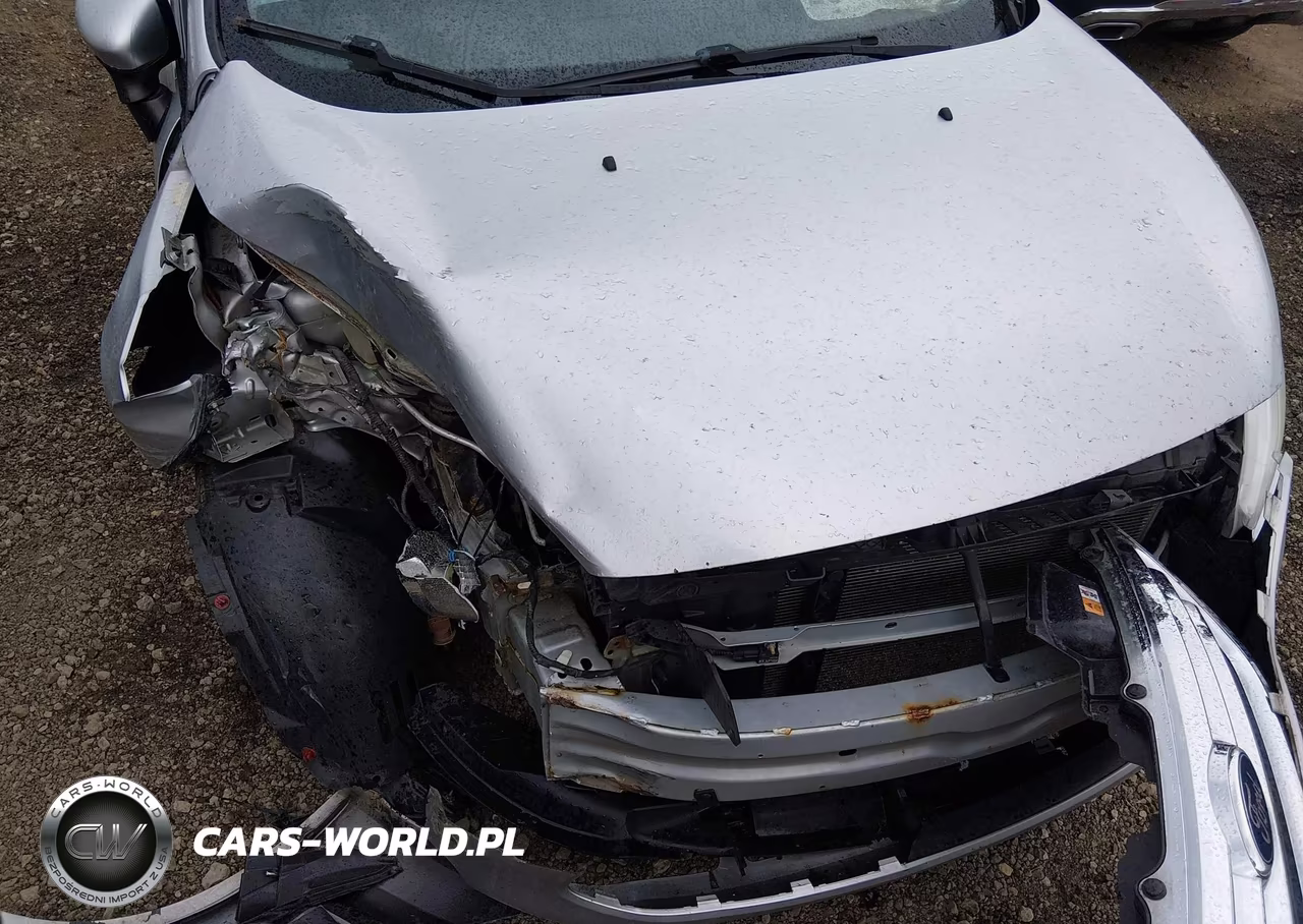 2013 Ford Fiesta Se VIN:3FADP4BJ9DM227433 - 10