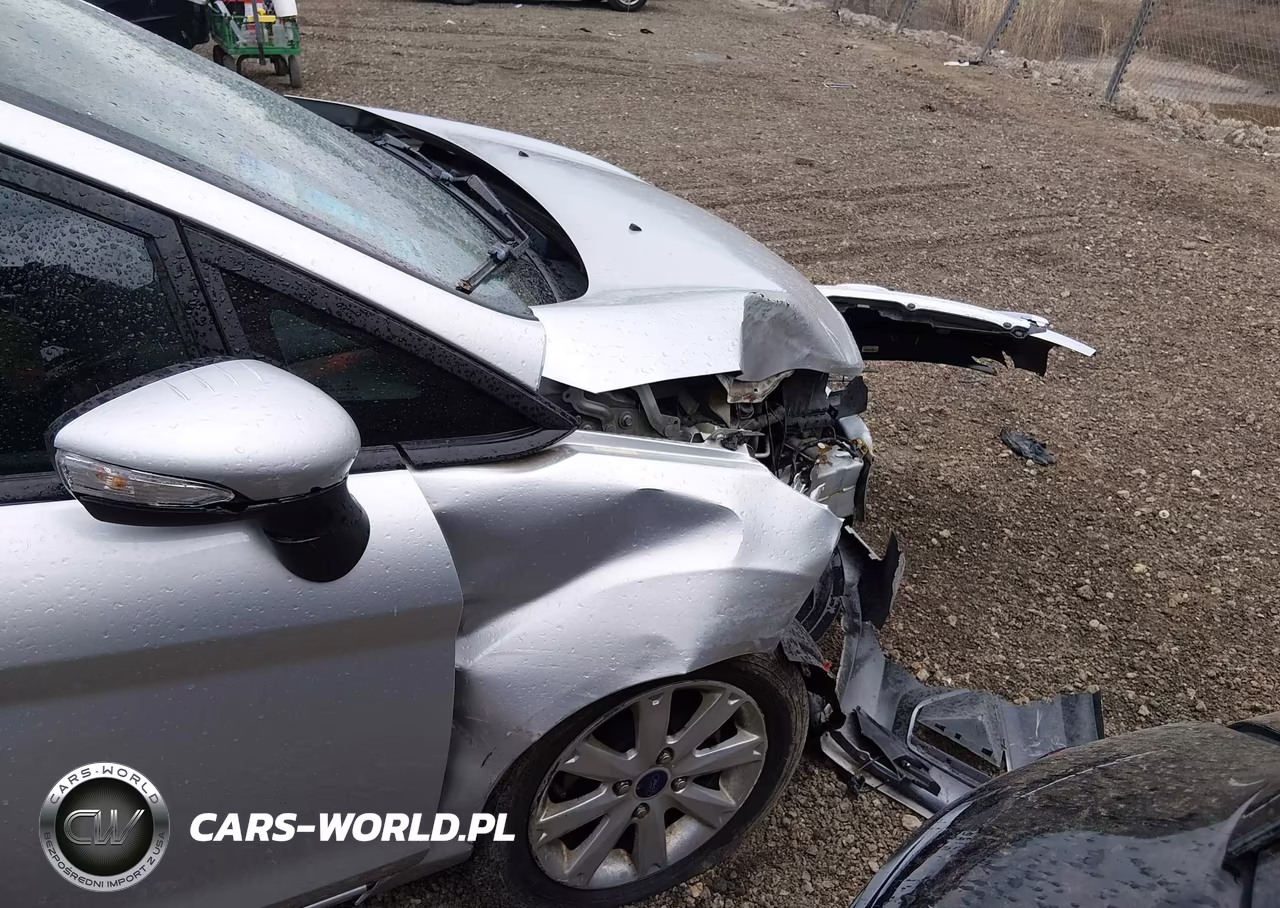 2013 Ford Fiesta Se VIN:3FADP4BJ9DM227433 - 13
