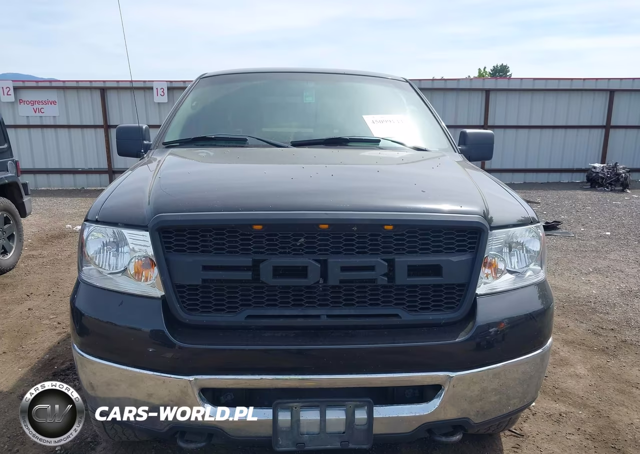 2006 Ford F-150 Fx4-Lariat-Xl-Xlt VIN:1FTPX14596KB68772 - 12