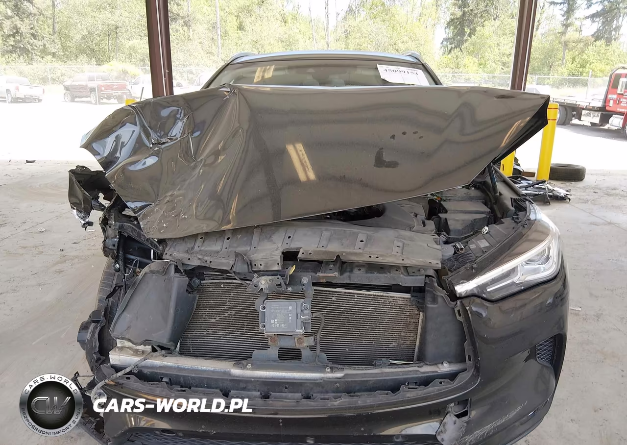 2019 Infiniti Qx50 VIN:3PCAJ5M30KF139665 - 13