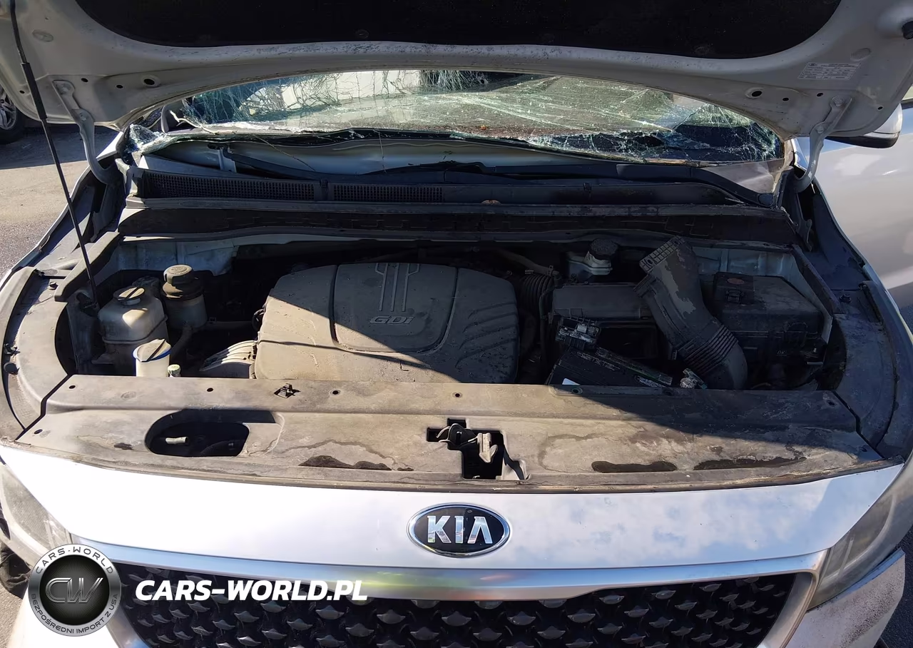 2017 Kia Sedona Lx VIN:KNDMB5C19H6218377 - 10