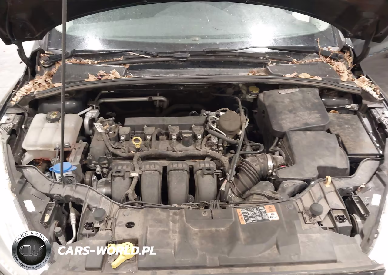 2015 Ford Focus Se VIN:1FADP3F24FL306137 - 10