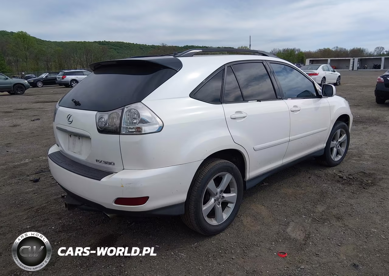 2004 Lexus Rx 330 VIN:2T2HA31U84C027313 - 4
