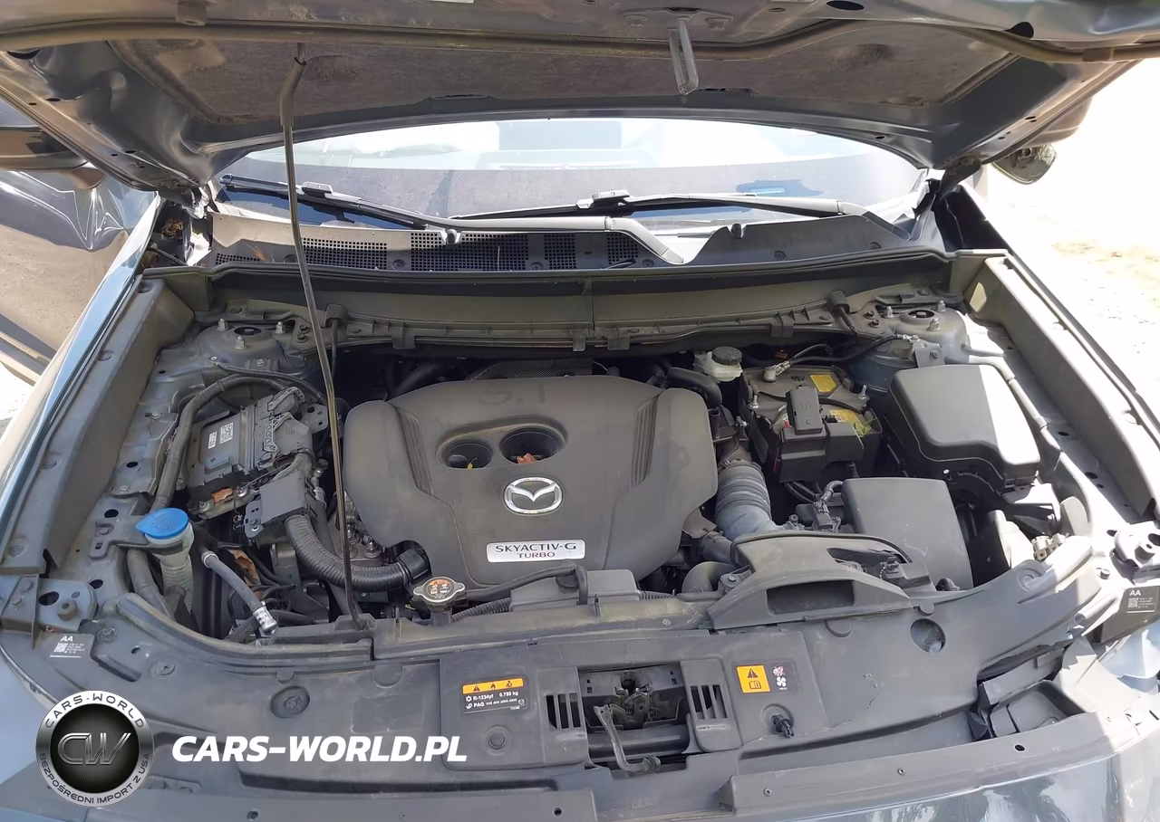 2022 Mazda Cx-9 Carbon Edition VIN:JM3TCBDY5N0625704 - 10