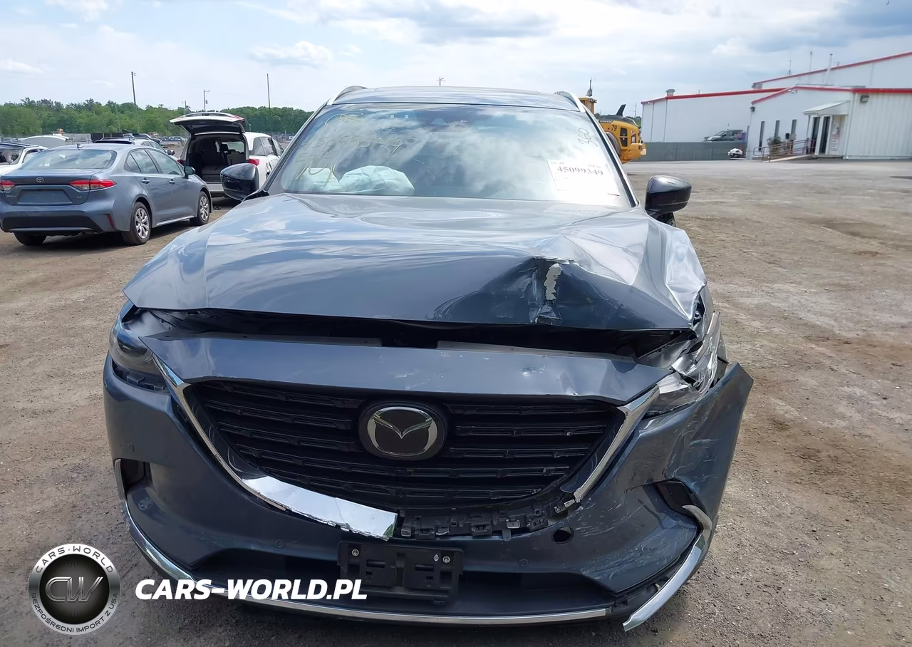2022 Mazda Cx-9 Carbon Edition VIN:JM3TCBDY5N0625704 - 12