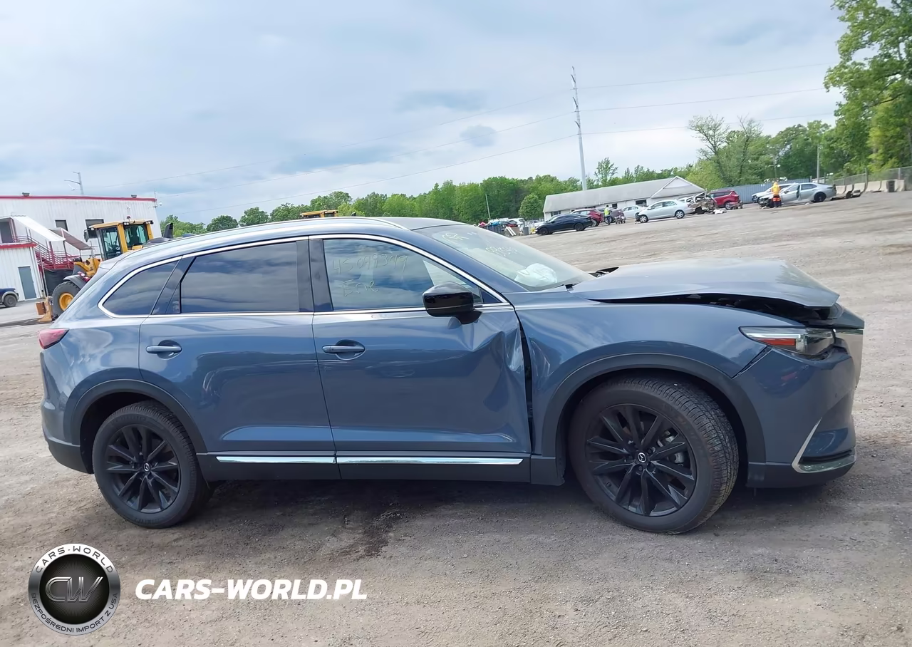 2022 Mazda Cx-9 Carbon Edition VIN:JM3TCBDY5N0625704 - 13