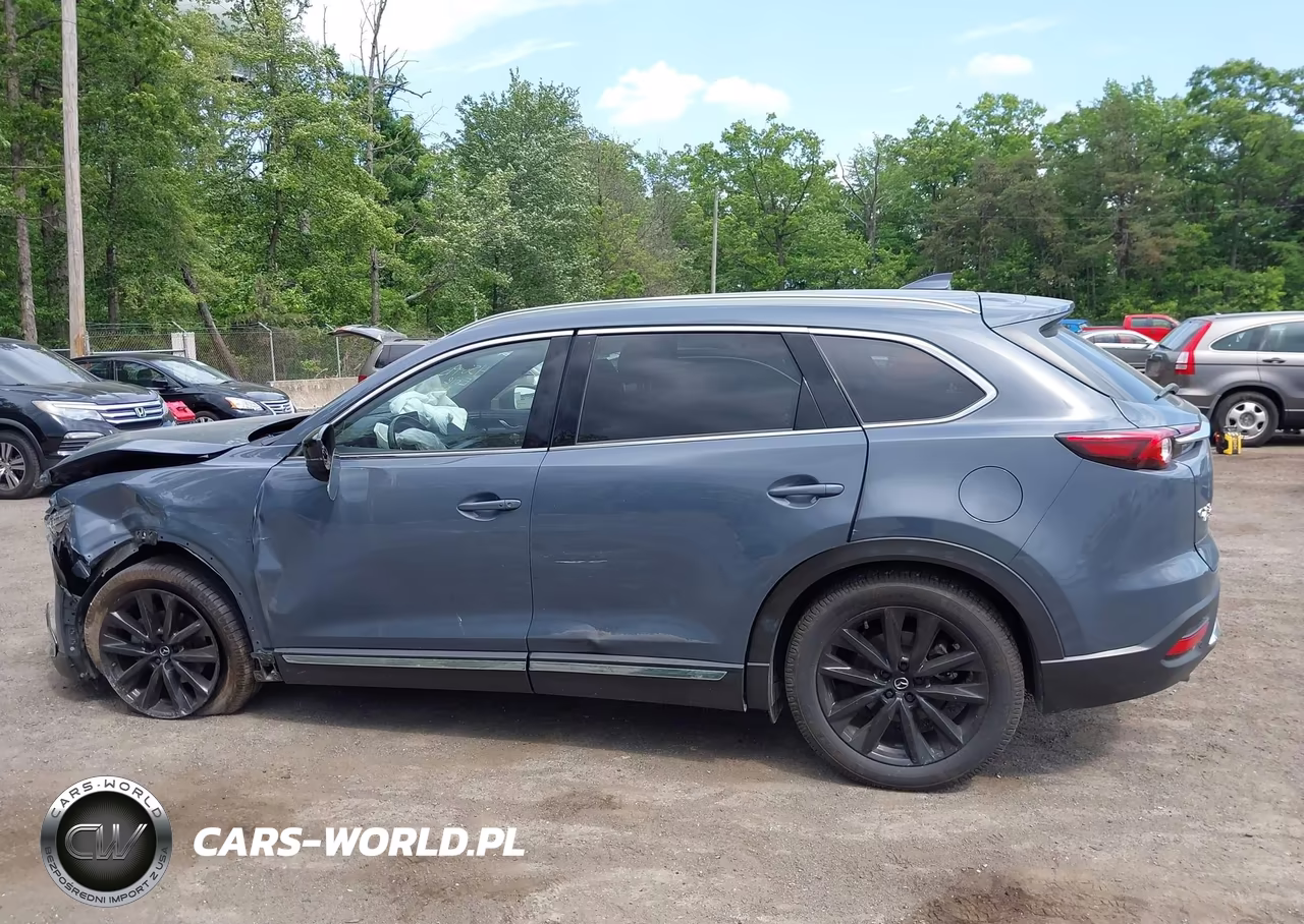2022 Mazda Cx-9 Carbon Edition VIN:JM3TCBDY5N0625704 - 14