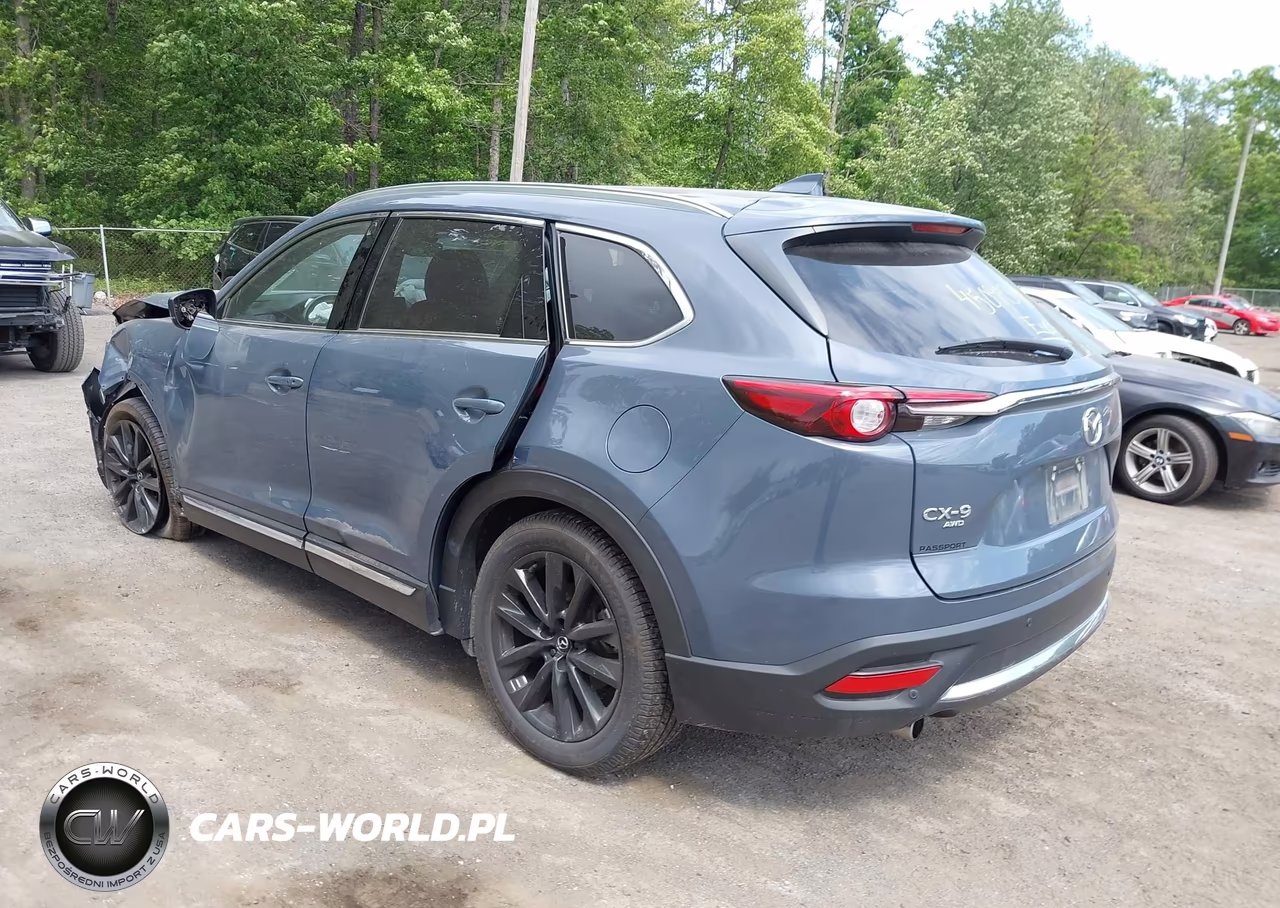 2022 Mazda Cx-9 Carbon Edition VIN:JM3TCBDY5N0625704 - 3