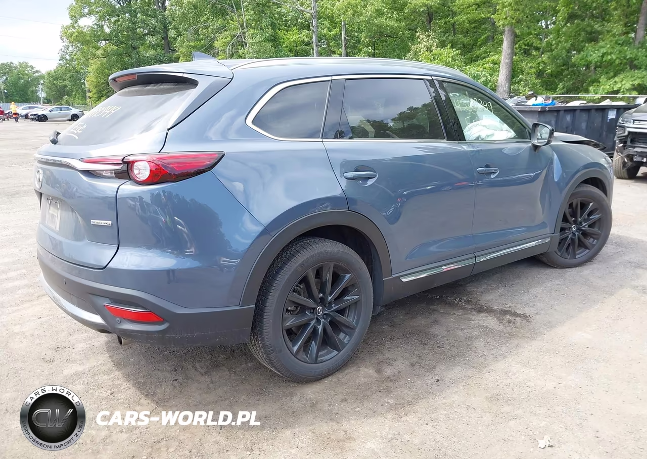 2022 Mazda Cx-9 Carbon Edition VIN:JM3TCBDY5N0625704 - 4