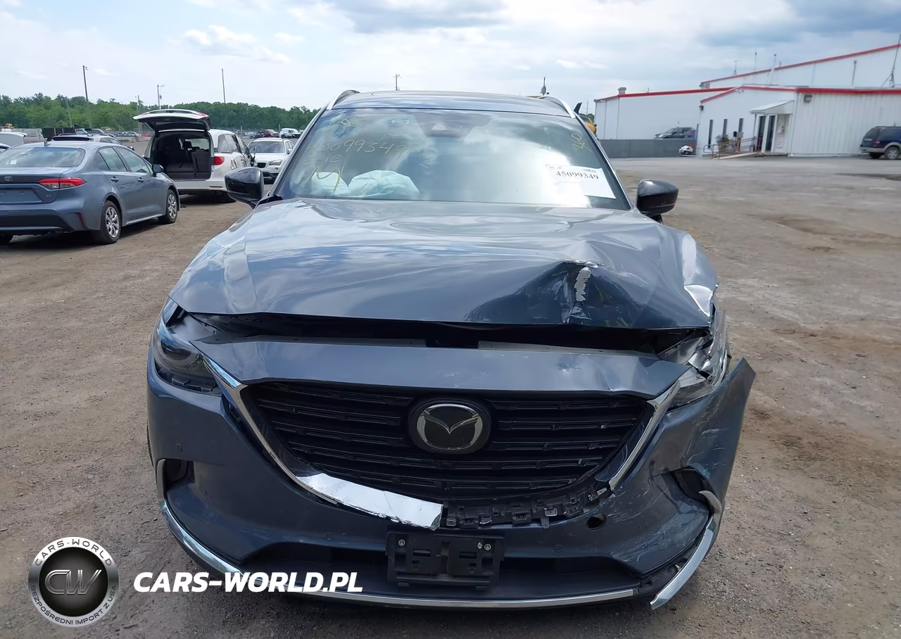 2022 Mazda Cx-9 Carbon Edition VIN:JM3TCBDY5N0625704 - 6