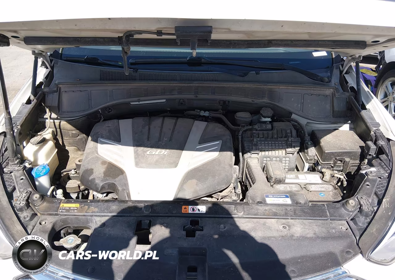 2013 Hyundai Santa Fe Limited VIN:KM8SRDHF9DU000944 - 10