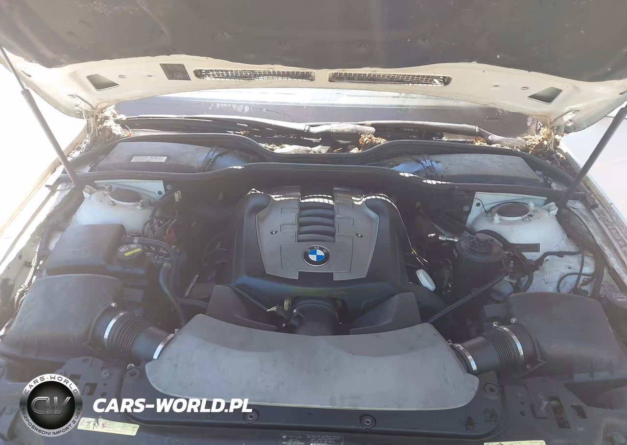 2006 BMW 750Li VIN:WBAHN83586DT59928 - 10