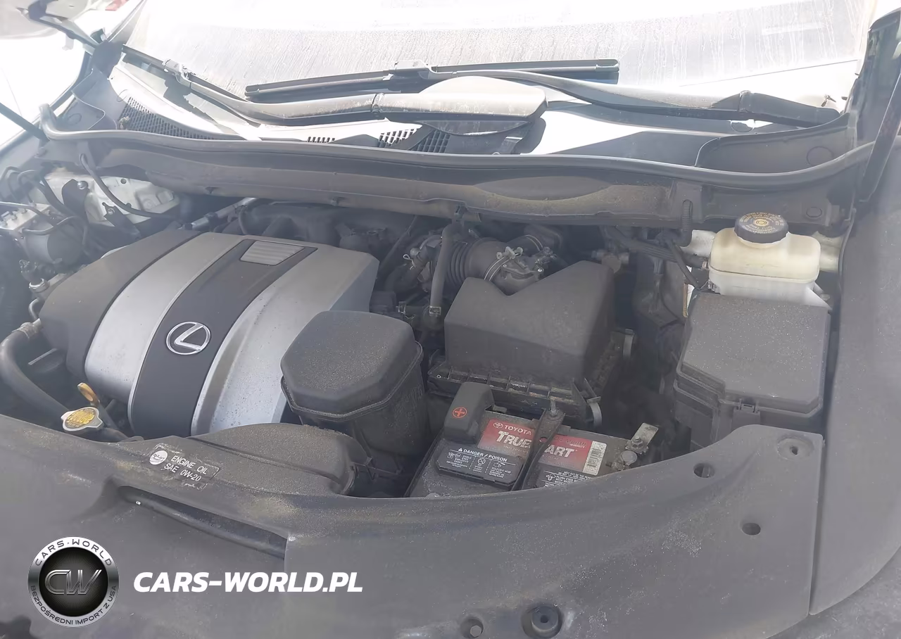 2016 Lexus Rx 350 VIN:2T2BZMCA7GC049637 - 10