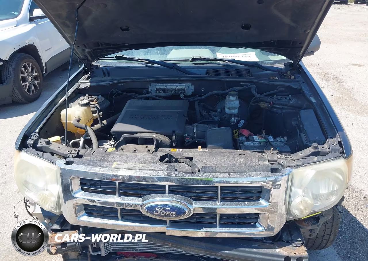 2009 Ford Escape Xlt VIN:1FMCU93G79KC58074 - 10