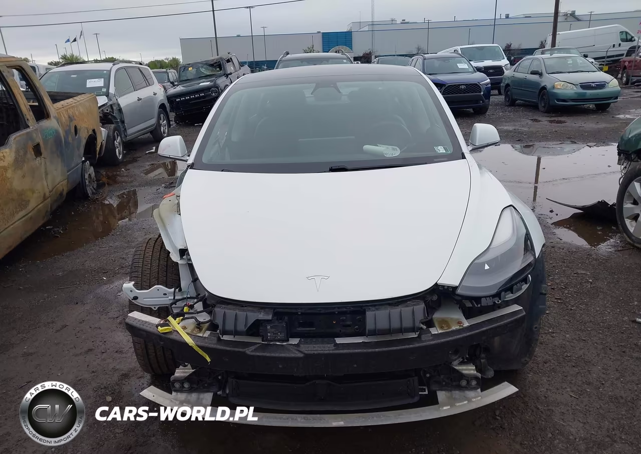 2020 Tesla Model 3 Long Range Dual Motor All-Wheel Drive VIN:5YJ3E1EB2LF618876 - 13