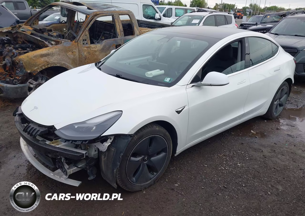 2020 Tesla Model 3 Long Range Dual Motor All-Wheel Drive VIN:5YJ3E1EB2LF618876 - 2
