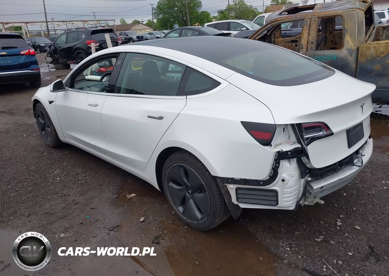 2020 Tesla Model 3 Long Range Dual Motor All-Wheel Drive VIN:5YJ3E1EB2LF618876 - 3