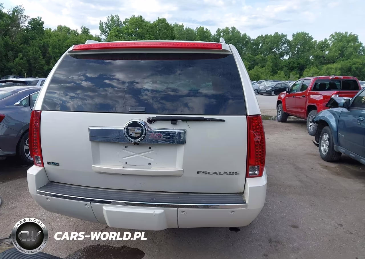 2010 Cadillac Escalade Esv Premium VIN:1GYUKJEF1AR269940 - 16