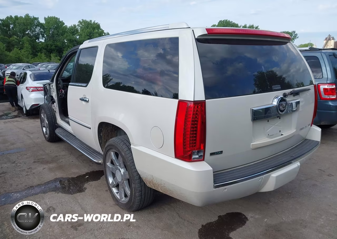 2010 Cadillac Escalade Esv Premium VIN:1GYUKJEF1AR269940 - 3