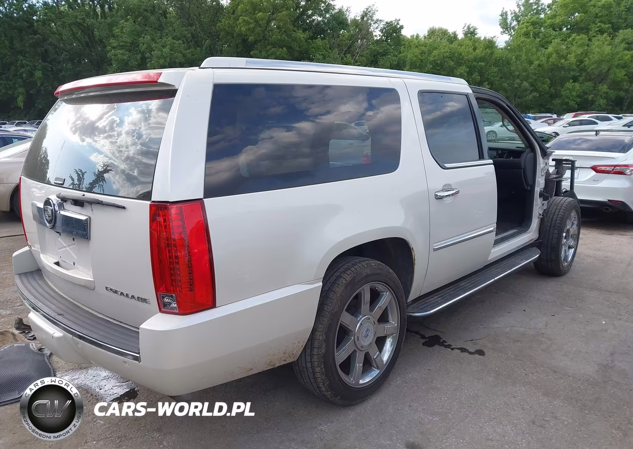 2010 Cadillac Escalade Esv Premium VIN:1GYUKJEF1AR269940 - 4