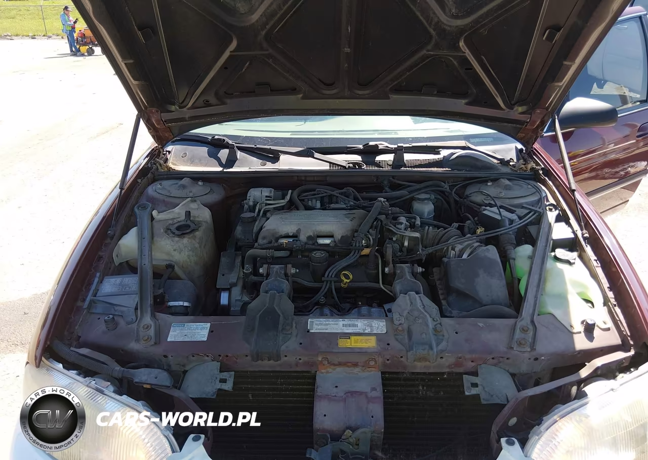 1999 Chevrolet Lumina VIN:2G1WL52M8X9222387 - 10