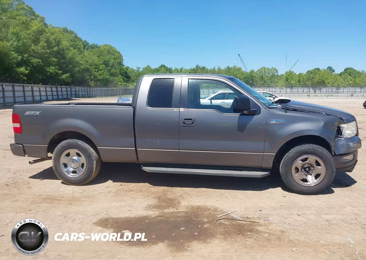 2005 Ford F-150 Stx-Xl-Xlt VIN:1FTRX12W35NA68958 - 13