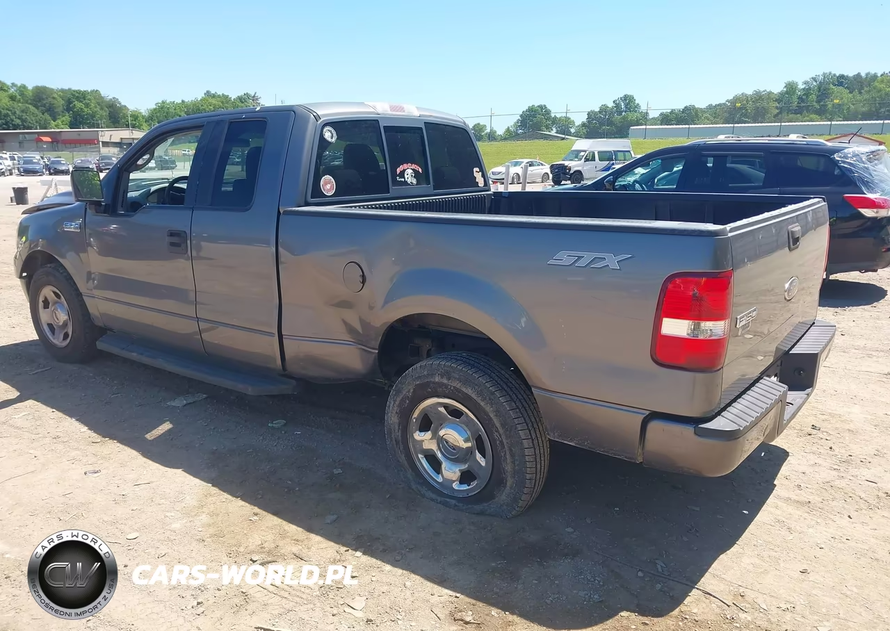 2005 Ford F-150 Stx-Xl-Xlt VIN:1FTRX12W35NA68958 - 3