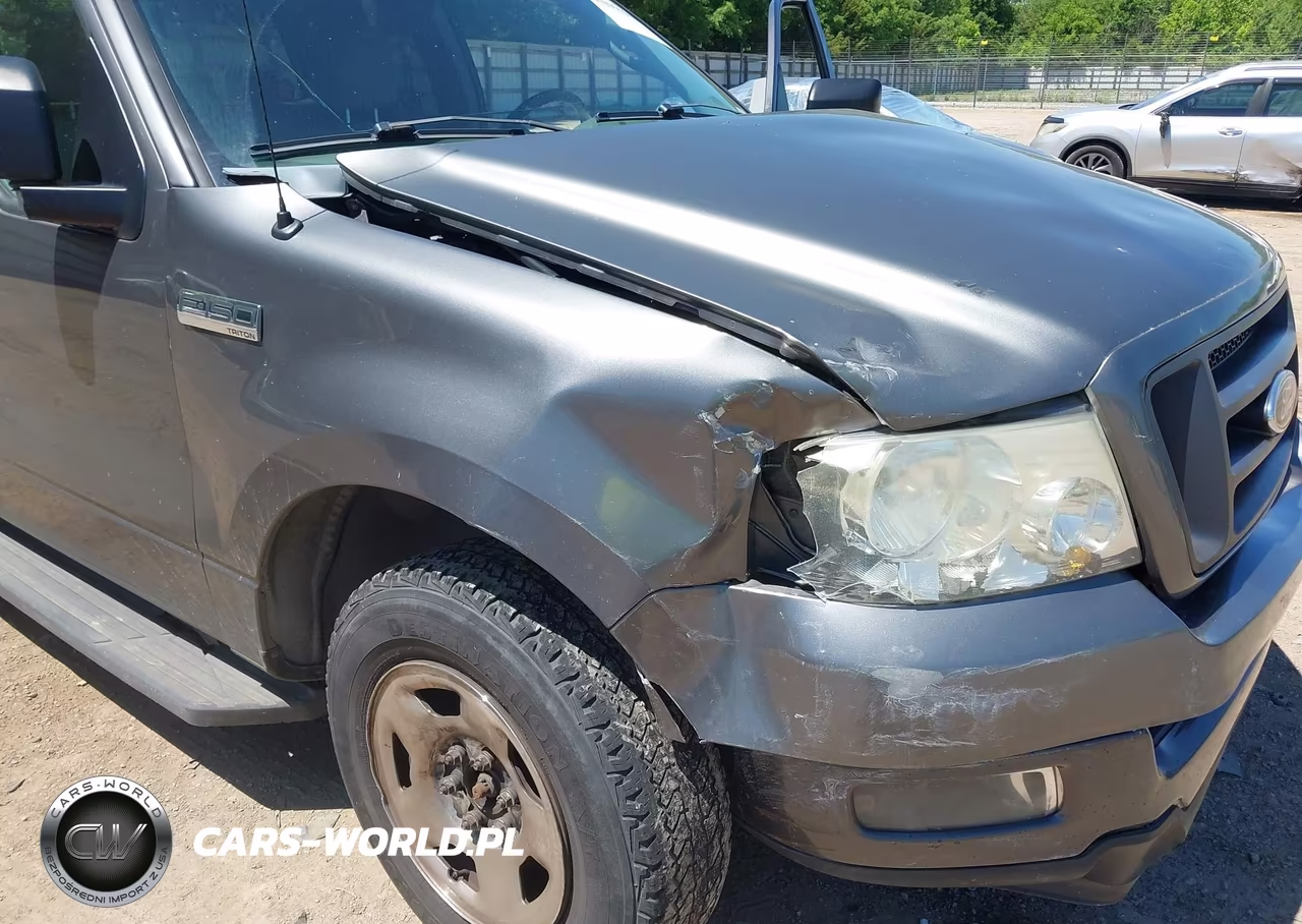 2005 Ford F-150 Stx-Xl-Xlt VIN:1FTRX12W35NA68958 - 6