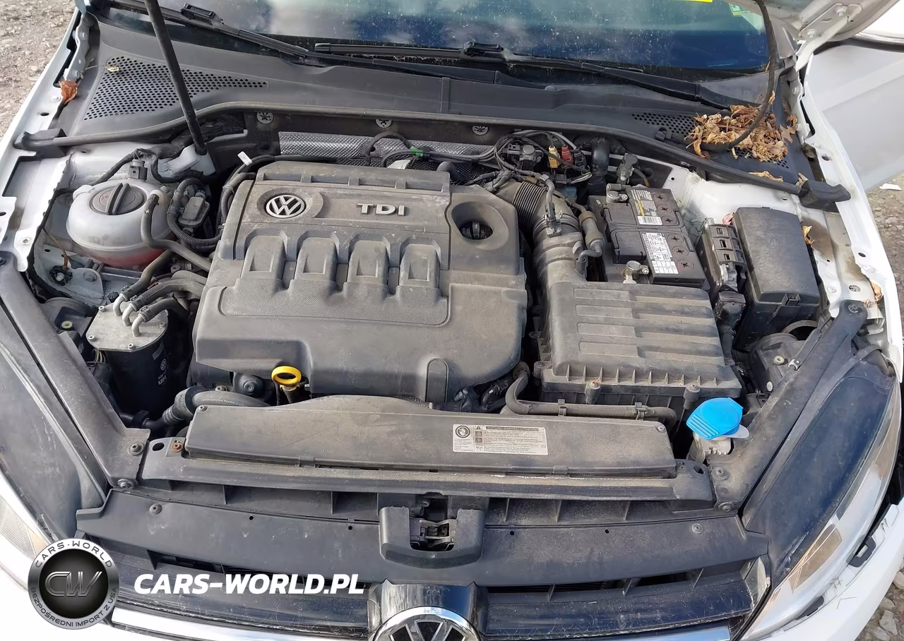 2015 Volkswagen Golf Sportwagen Tdi S 4-Door VIN:3VWCA7AU7FM502964 - 10