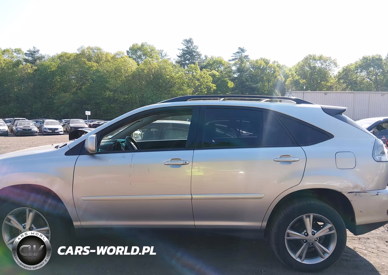 2006 Lexus Rx 400H VIN:JTJHW31U860045732 - 14