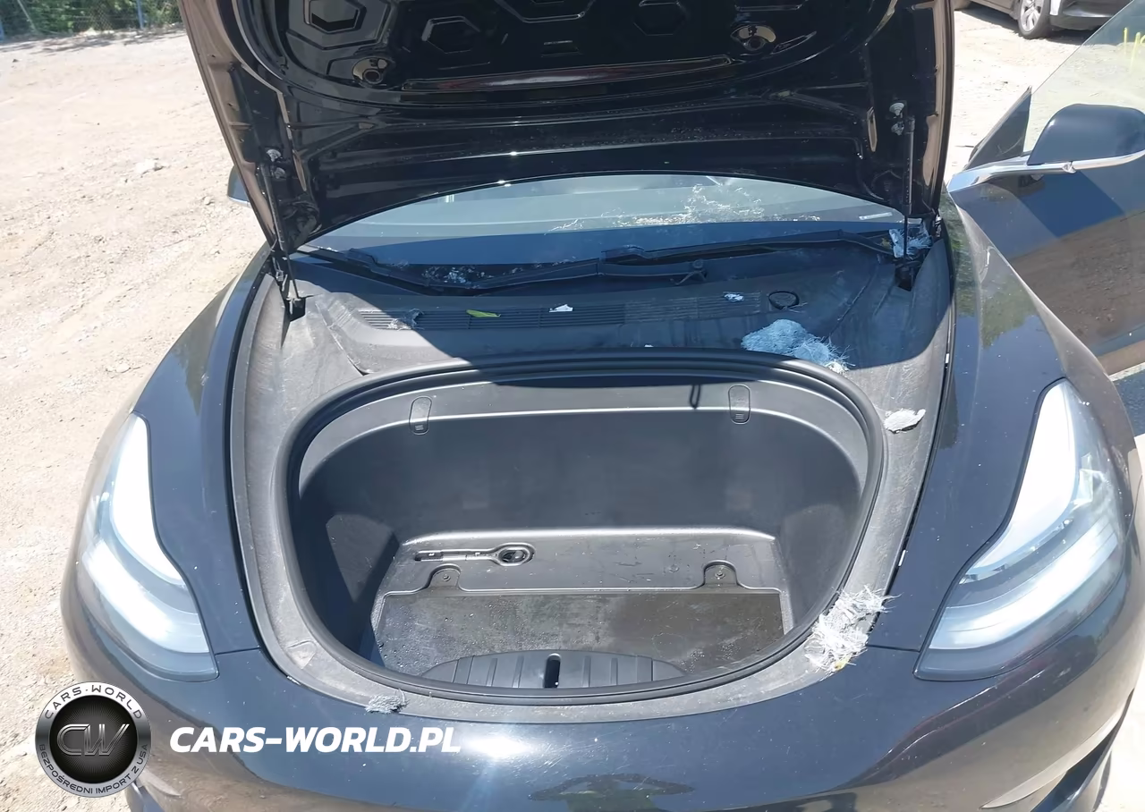 2019 Tesla Model 3 Long Range-Mid Range-Standard Range-Standard Range Plus VIN:5YJ3E1EA8KF304493 - 10