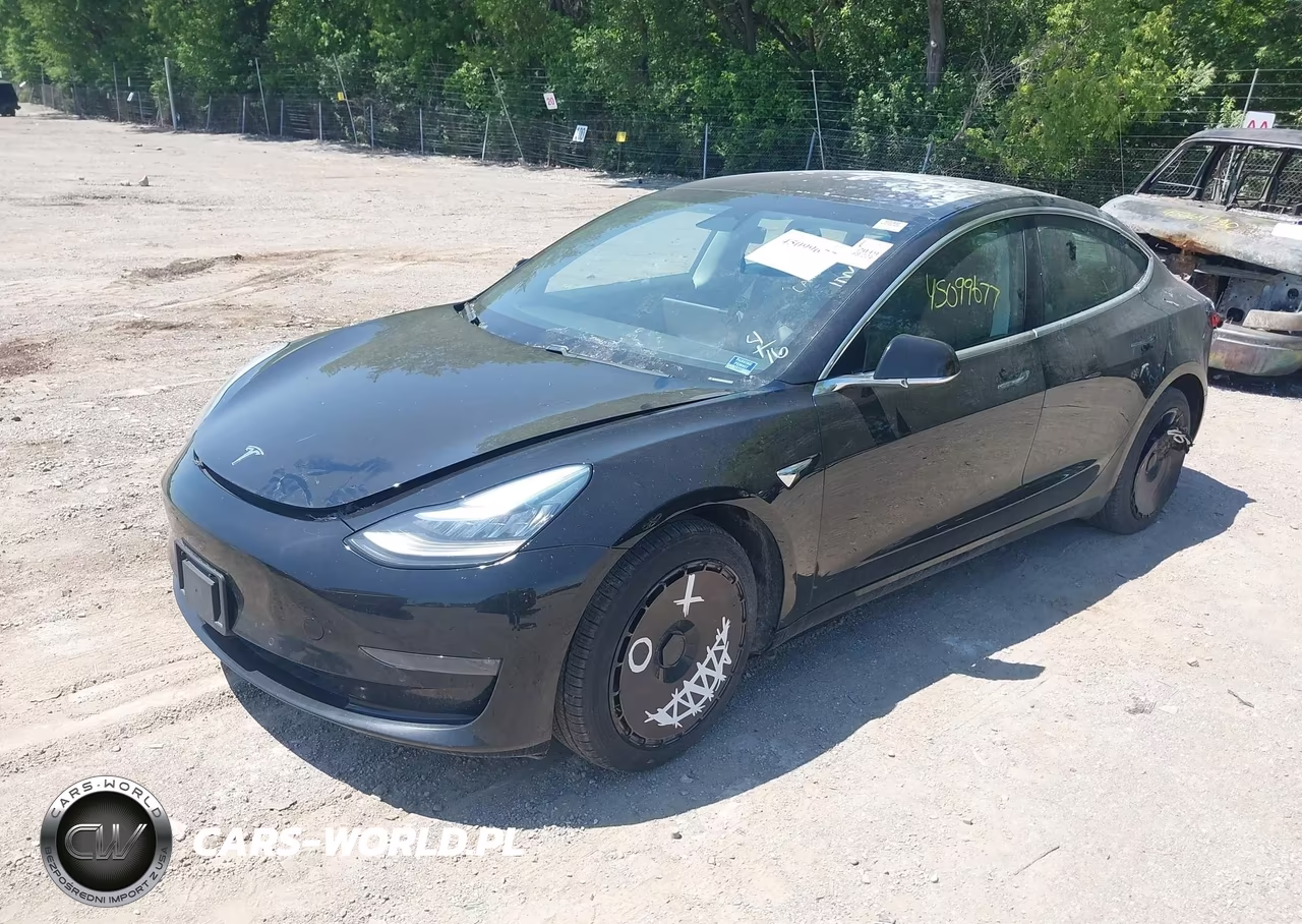 2019 Tesla Model 3 Long Range-Mid Range-Standard Range-Standard Range Plus VIN:5YJ3E1EA8KF304493 - 2