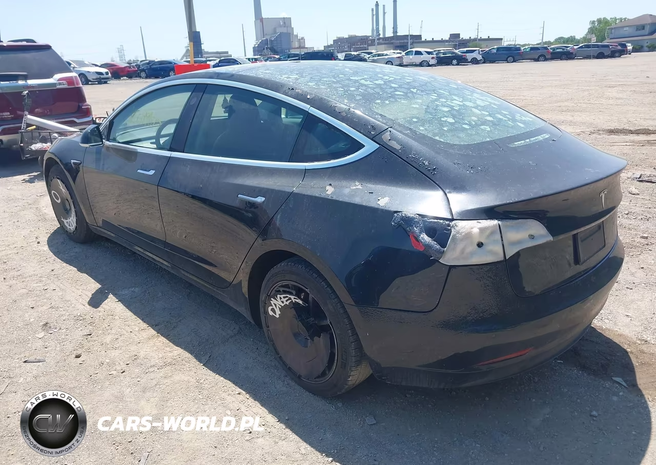 2019 Tesla Model 3 Long Range-Mid Range-Standard Range-Standard Range Plus VIN:5YJ3E1EA8KF304493 - 3